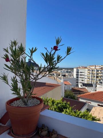 Casa Alegria - Ocean View Apartment - Centre 라고스 외부 사진